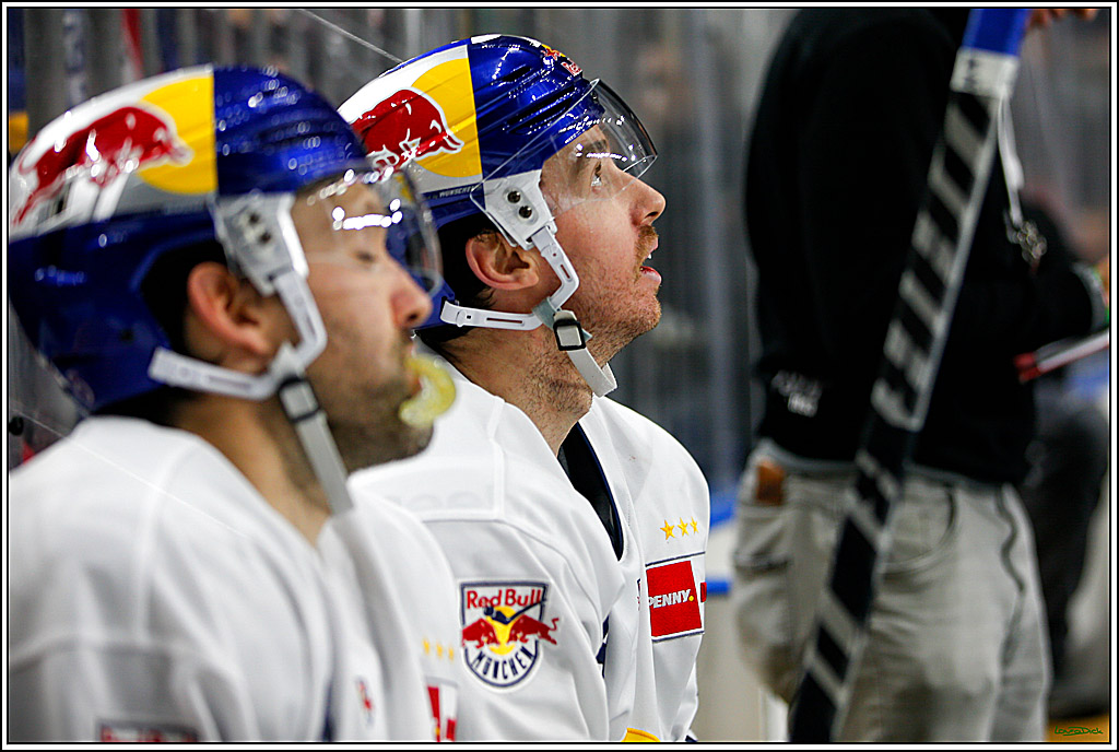 PENNY DEL; Koelner Haie- Red BUll Muenchen; Koeln, 08.11.2022